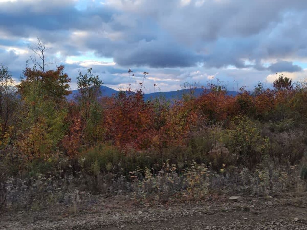 Quill Hill photo 5