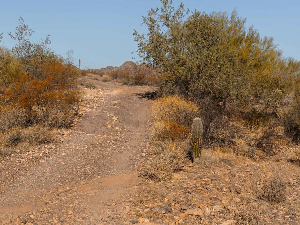24012 Trail photo 5