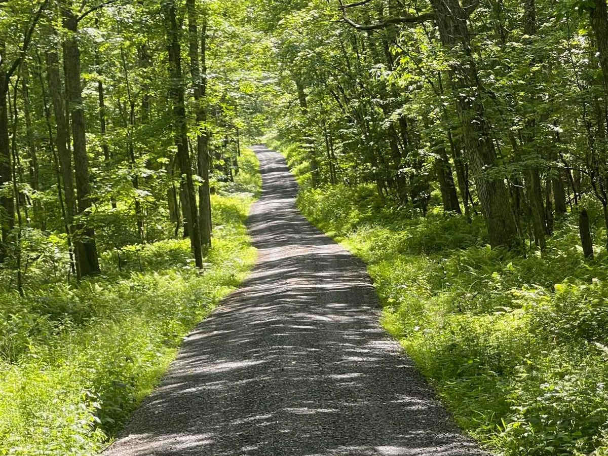 Robbins Road photo 5
