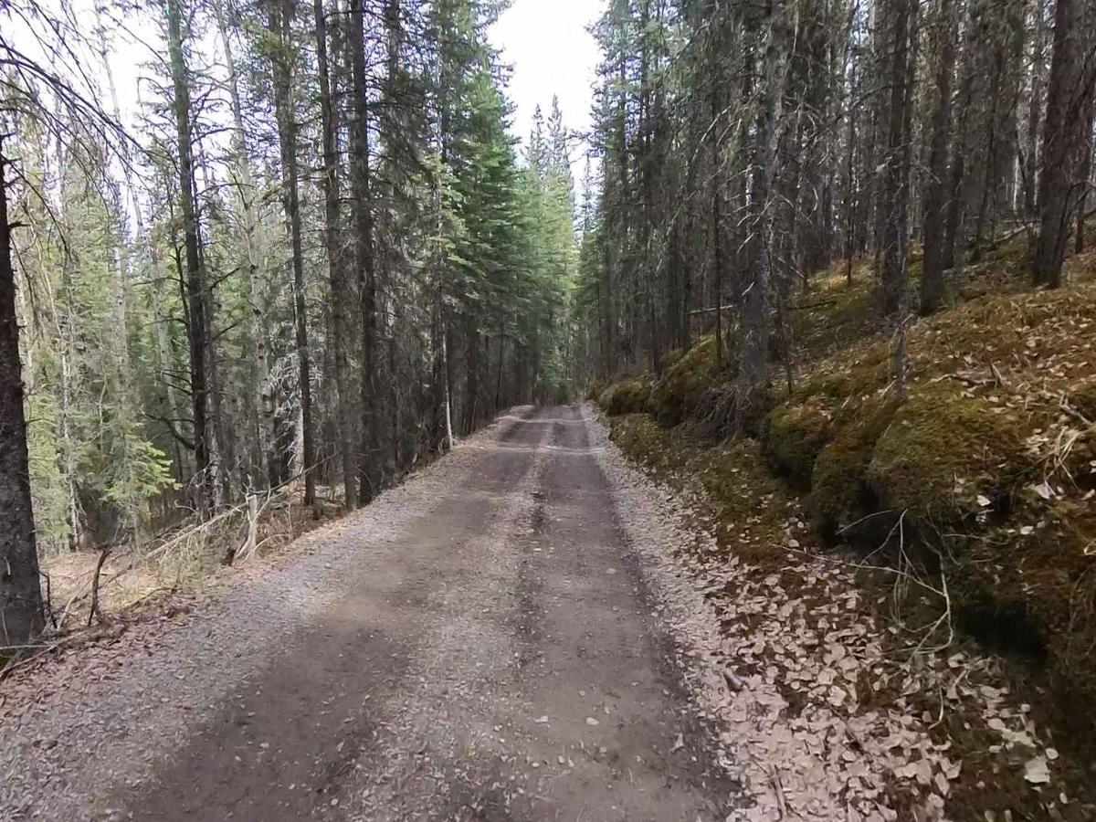 Nordegg Rail Trail photo 3
