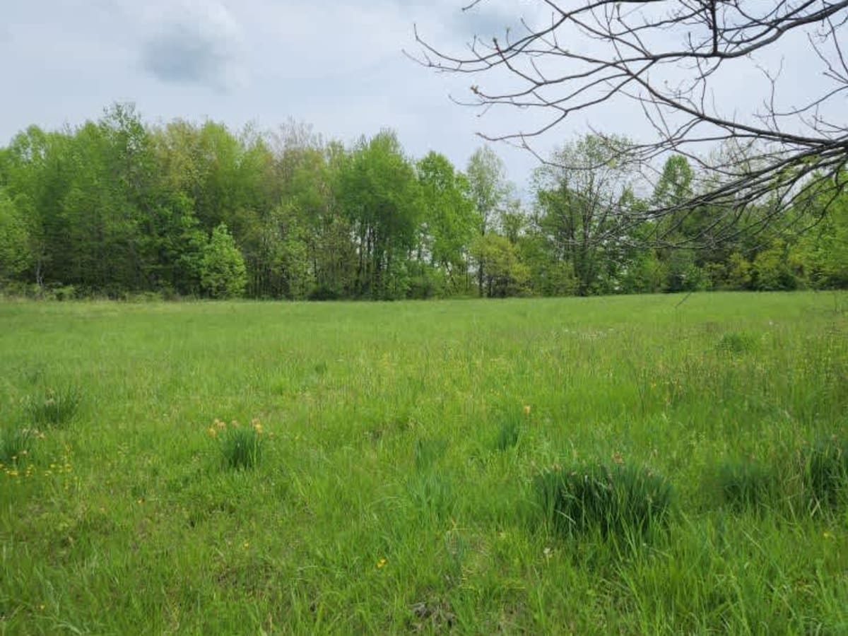 Mouth Hollow Road photo 6