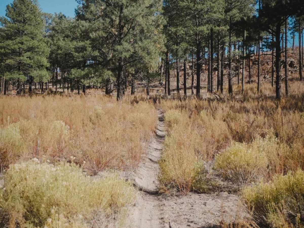 Corral Canyon trail photo