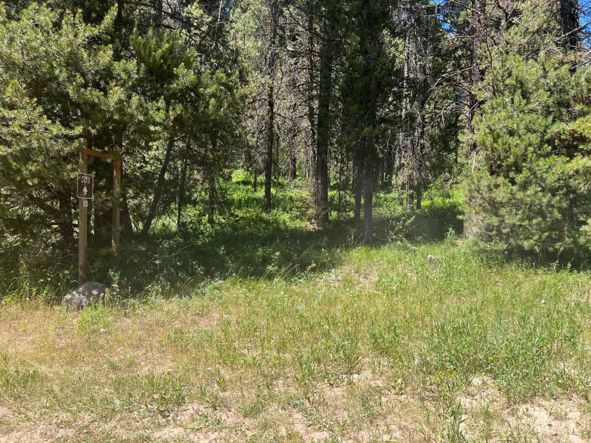 July Creek Road (20303) photo 4