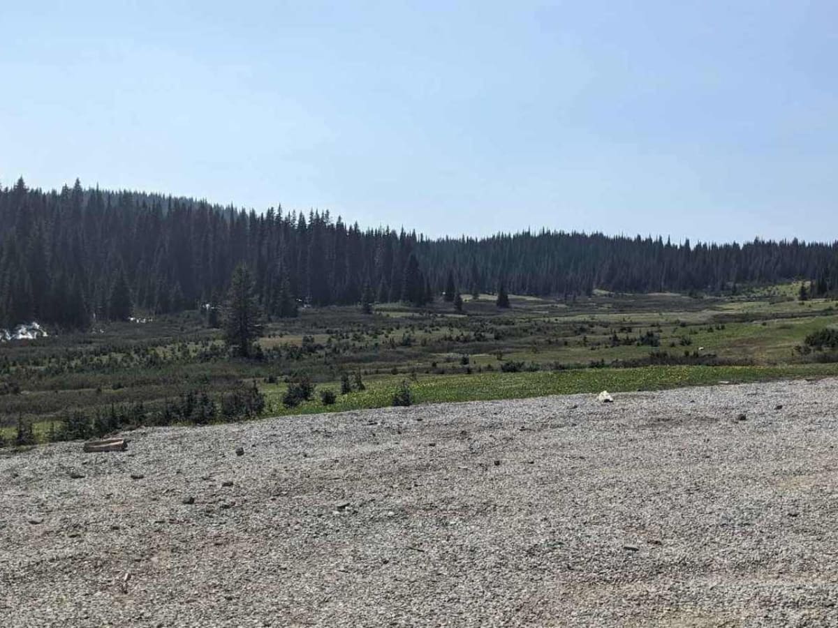 Wrangler Cabin Access Rd photo 4