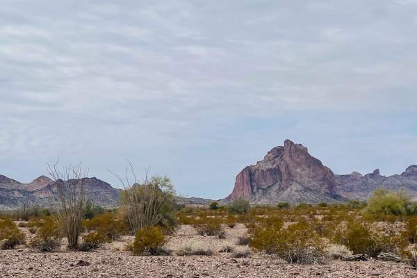 East Courthouse Rock