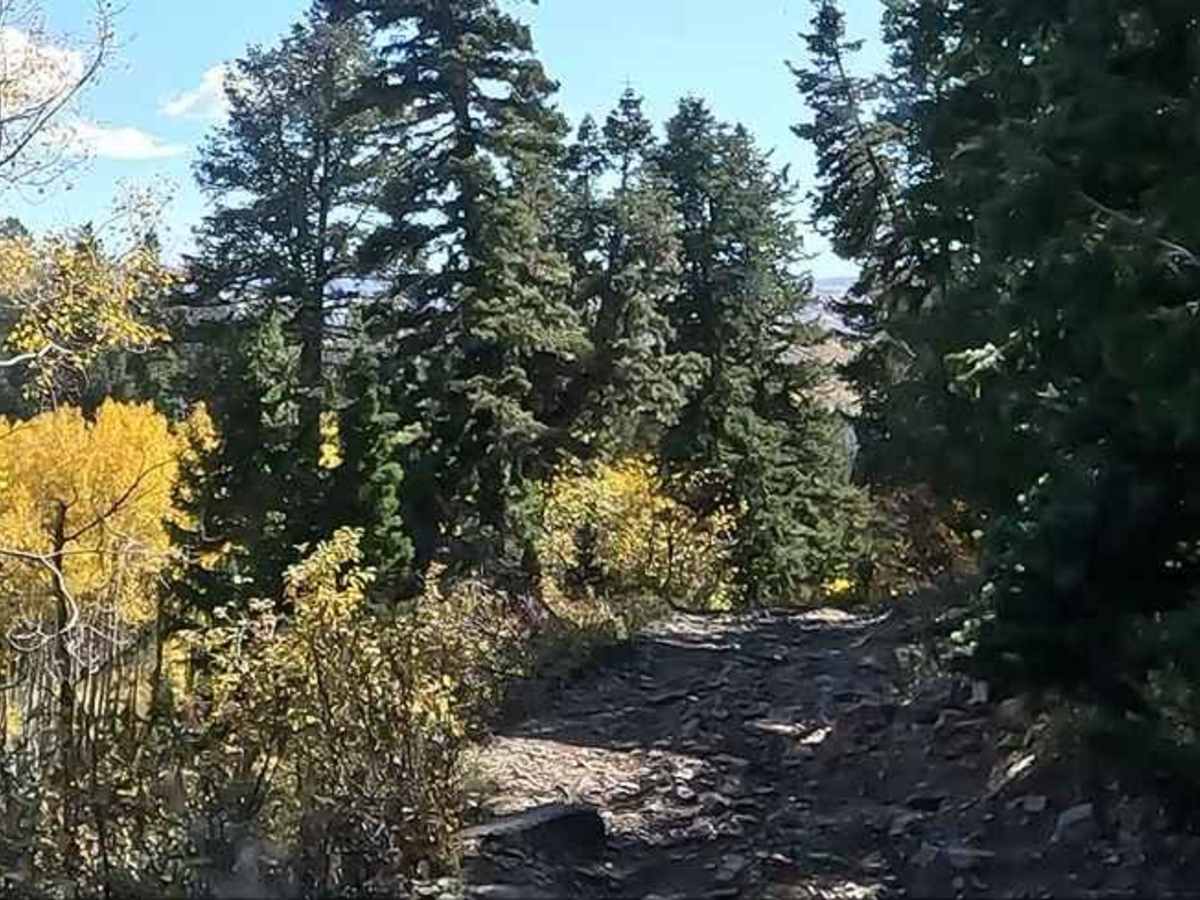 FS 80178 Upper Cedar Hollow OHV photo 3