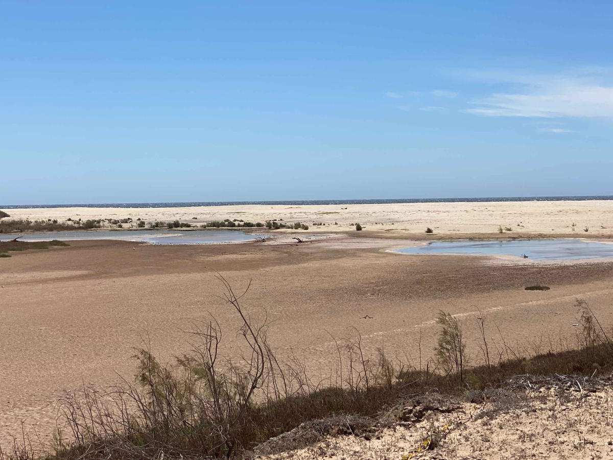 Rancho Progresso Coastal photo 4