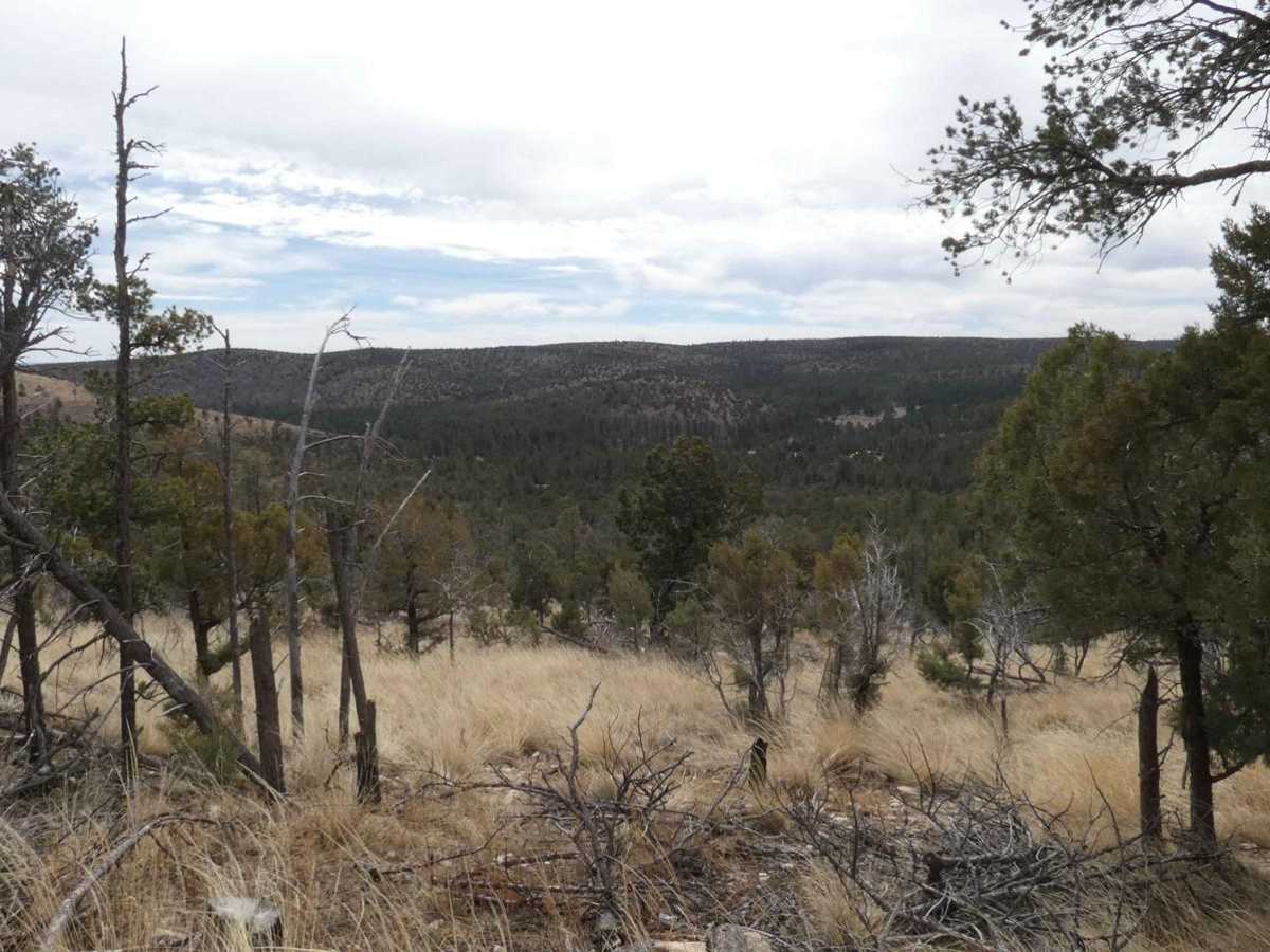 Bluewater Canyon photo 4