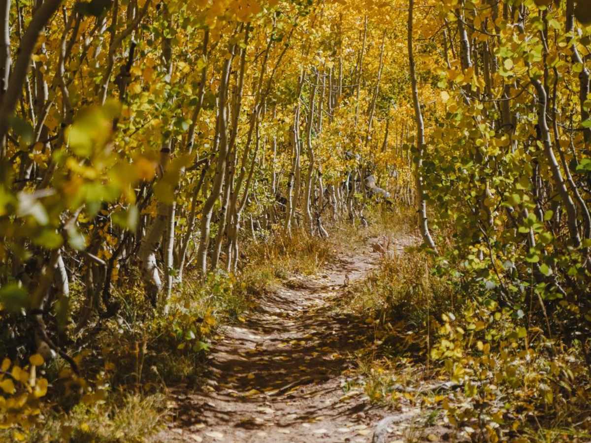 Grays Creek Trail trail photo