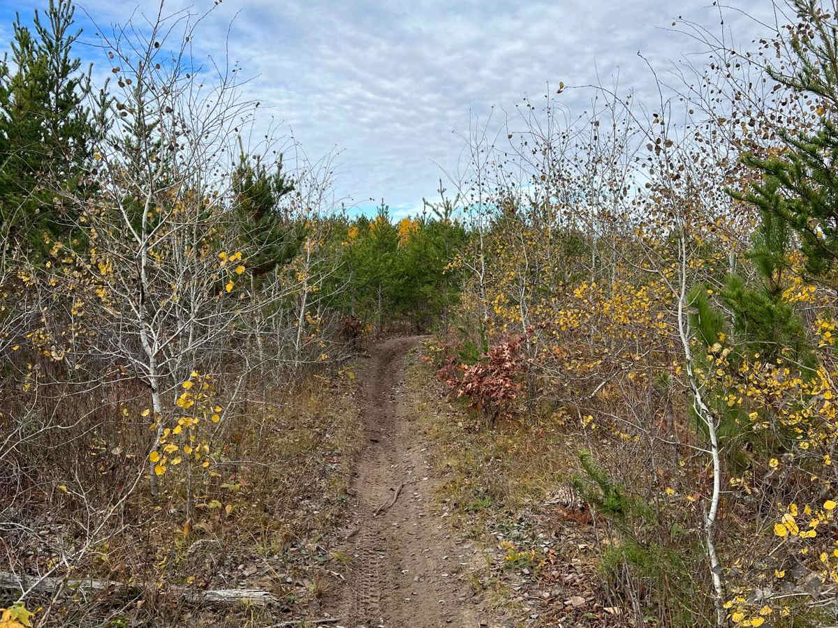 Crow Wing River Single Track photo 2