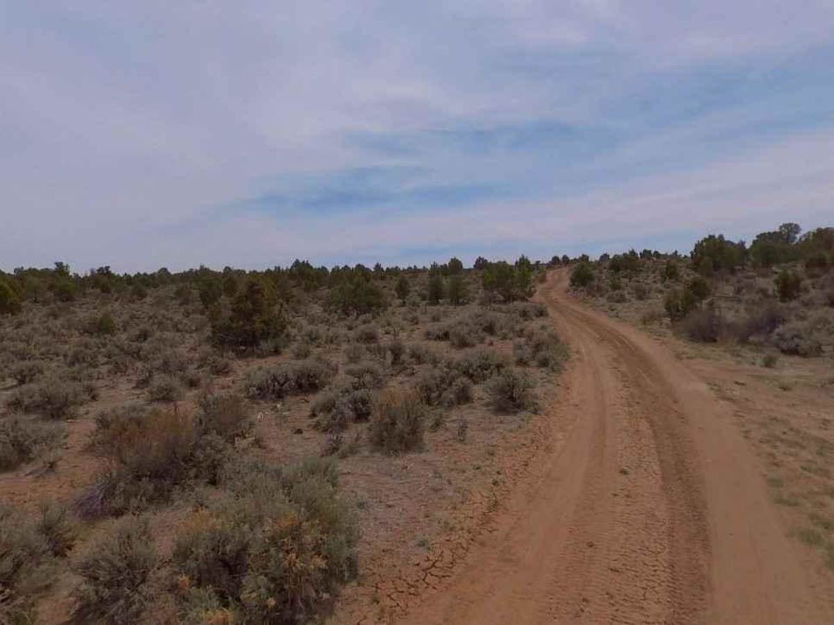 Dixie National Forest-FR30875 photo 6