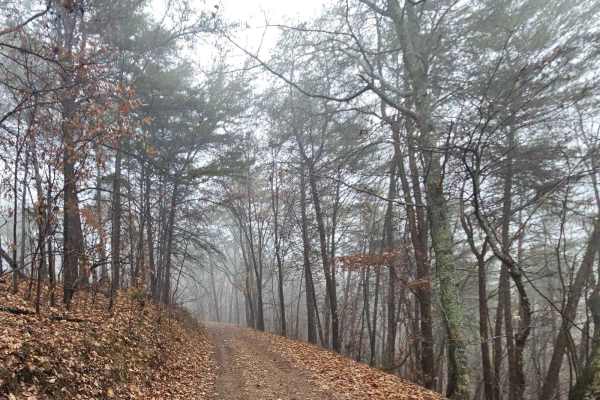 Chestnut Mountain (212A)