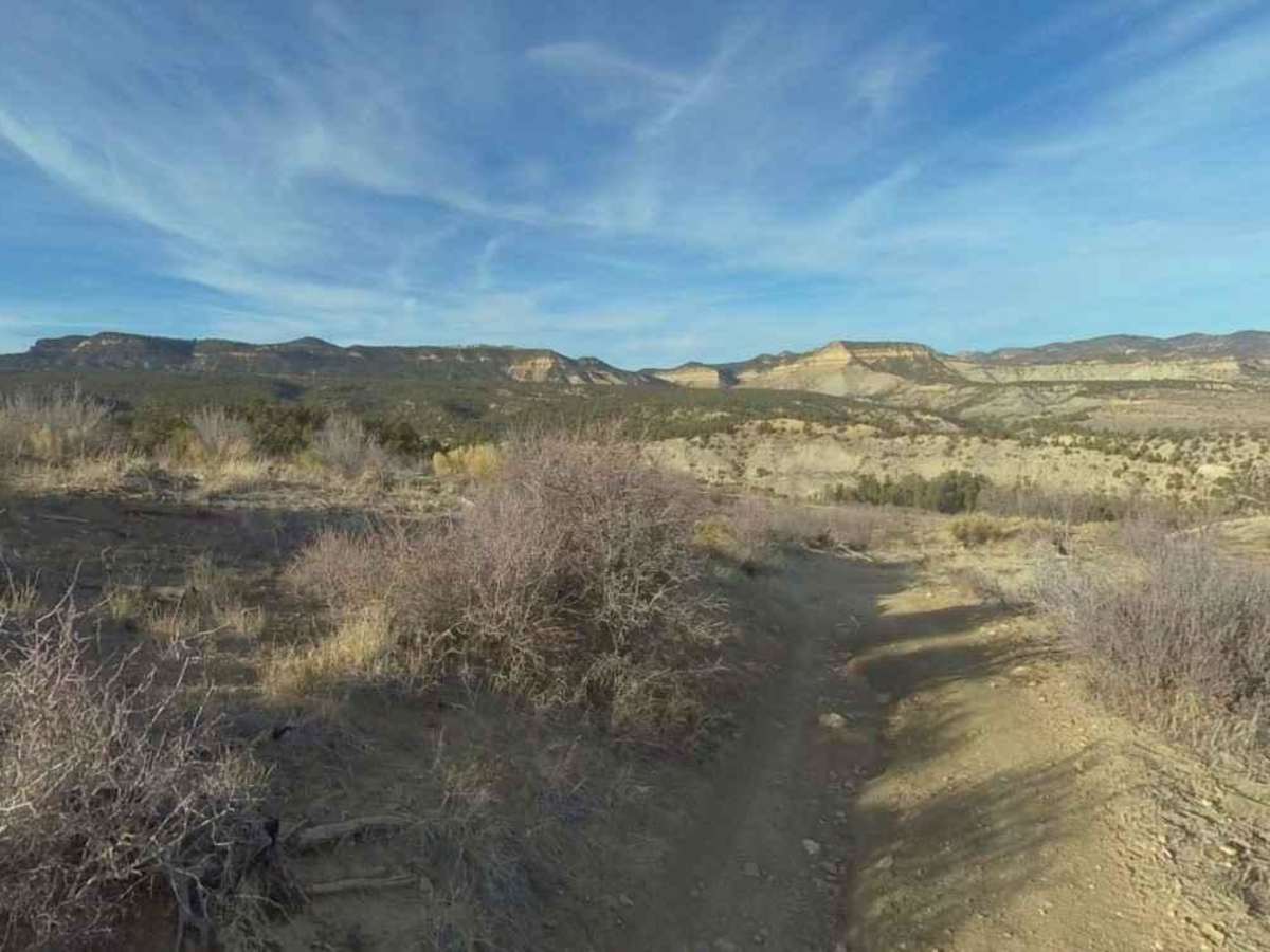 Trail Canyon photo 3