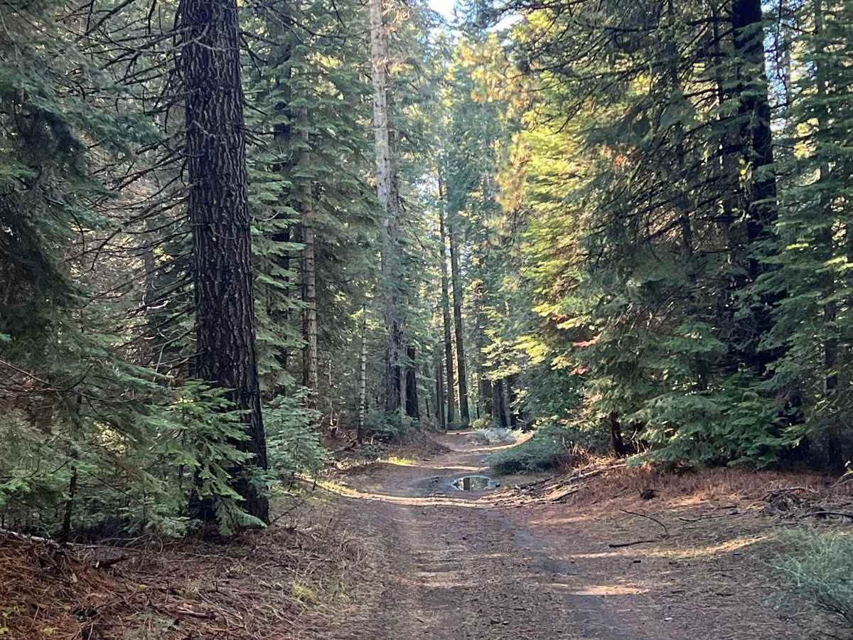 Hulls Meadow trail photo