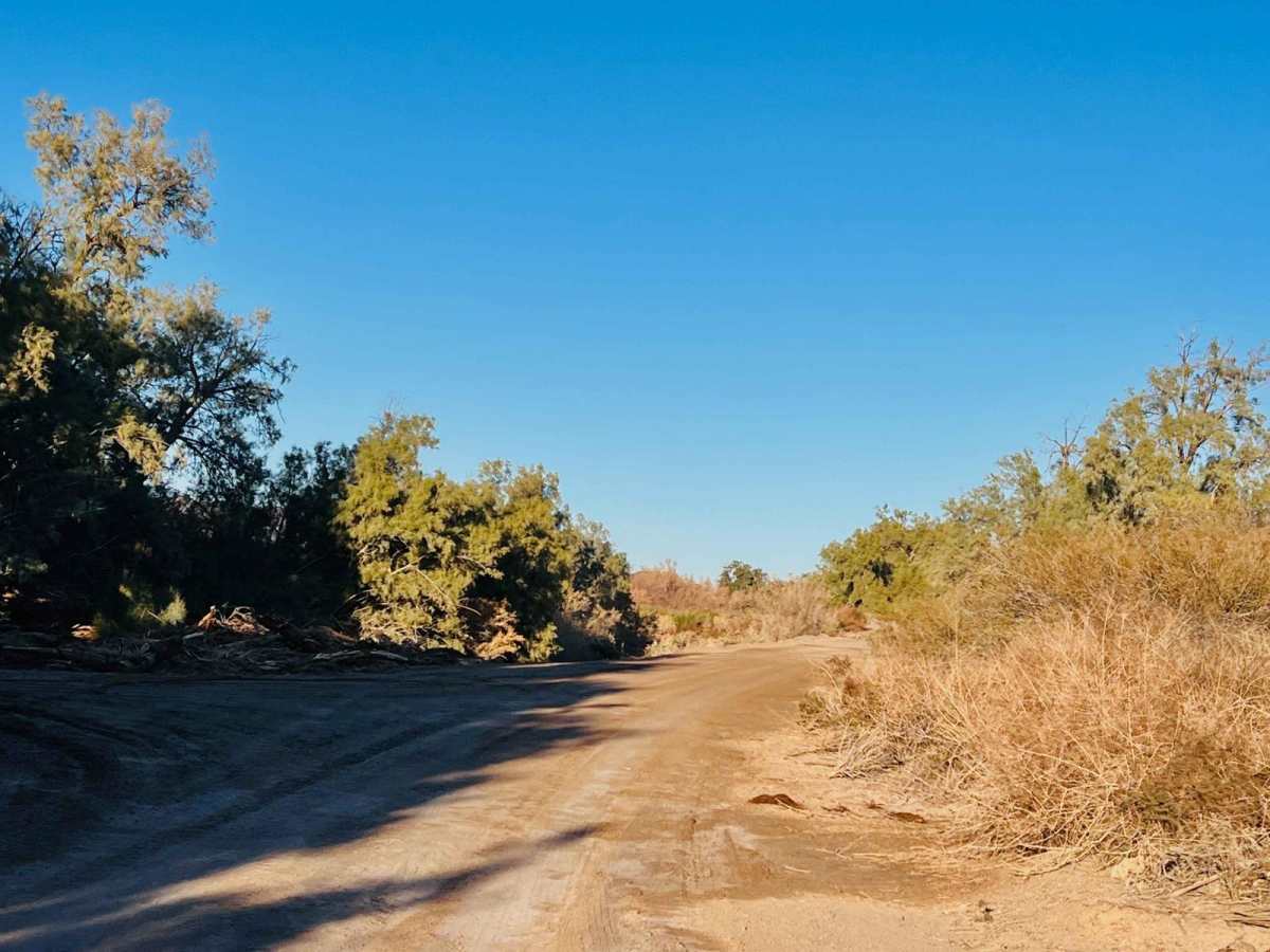 AZ Peace Trail The Fields To The Abandoned Bus Stop photo 4