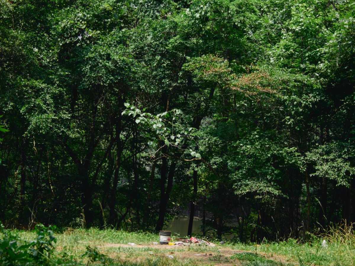 Guilliard Lake - FSR 150 photo 4