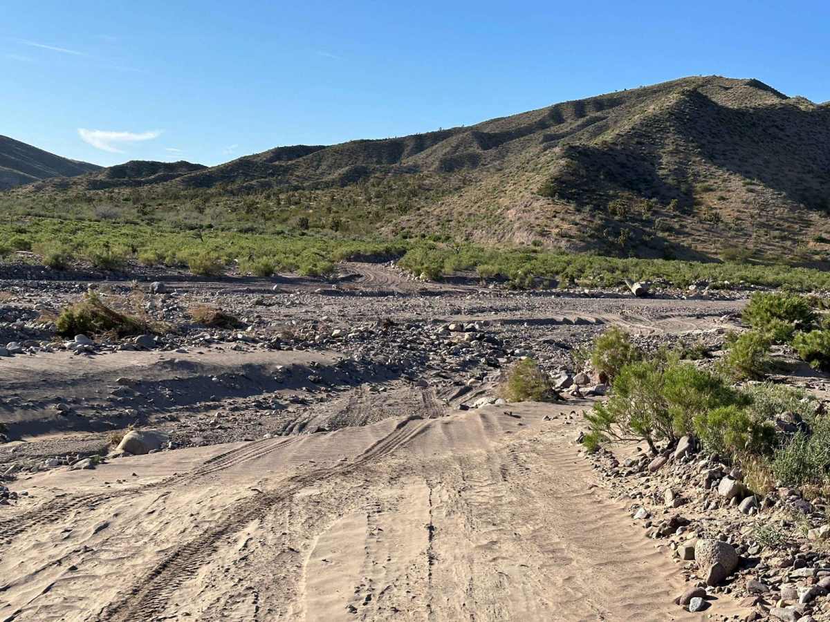 Scarecrow Peak Road photo 6