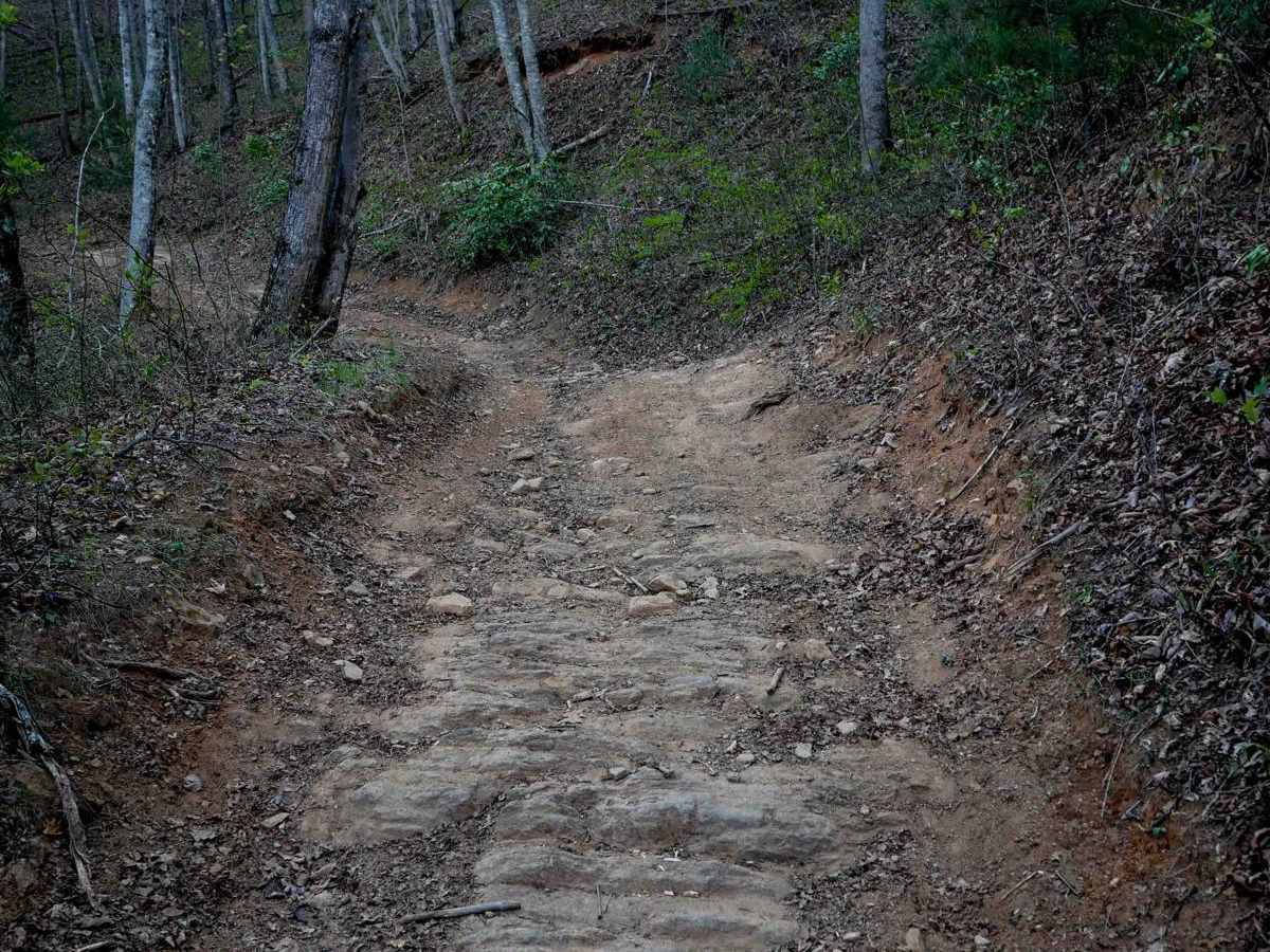 Buck Knob Trail 11 photo 3