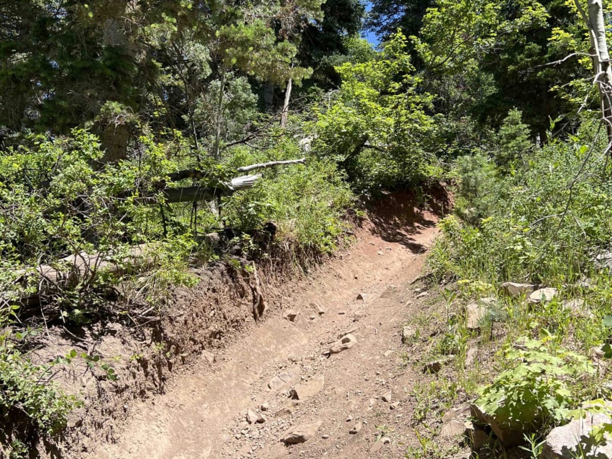 Tibble Fork (2041) photo 2