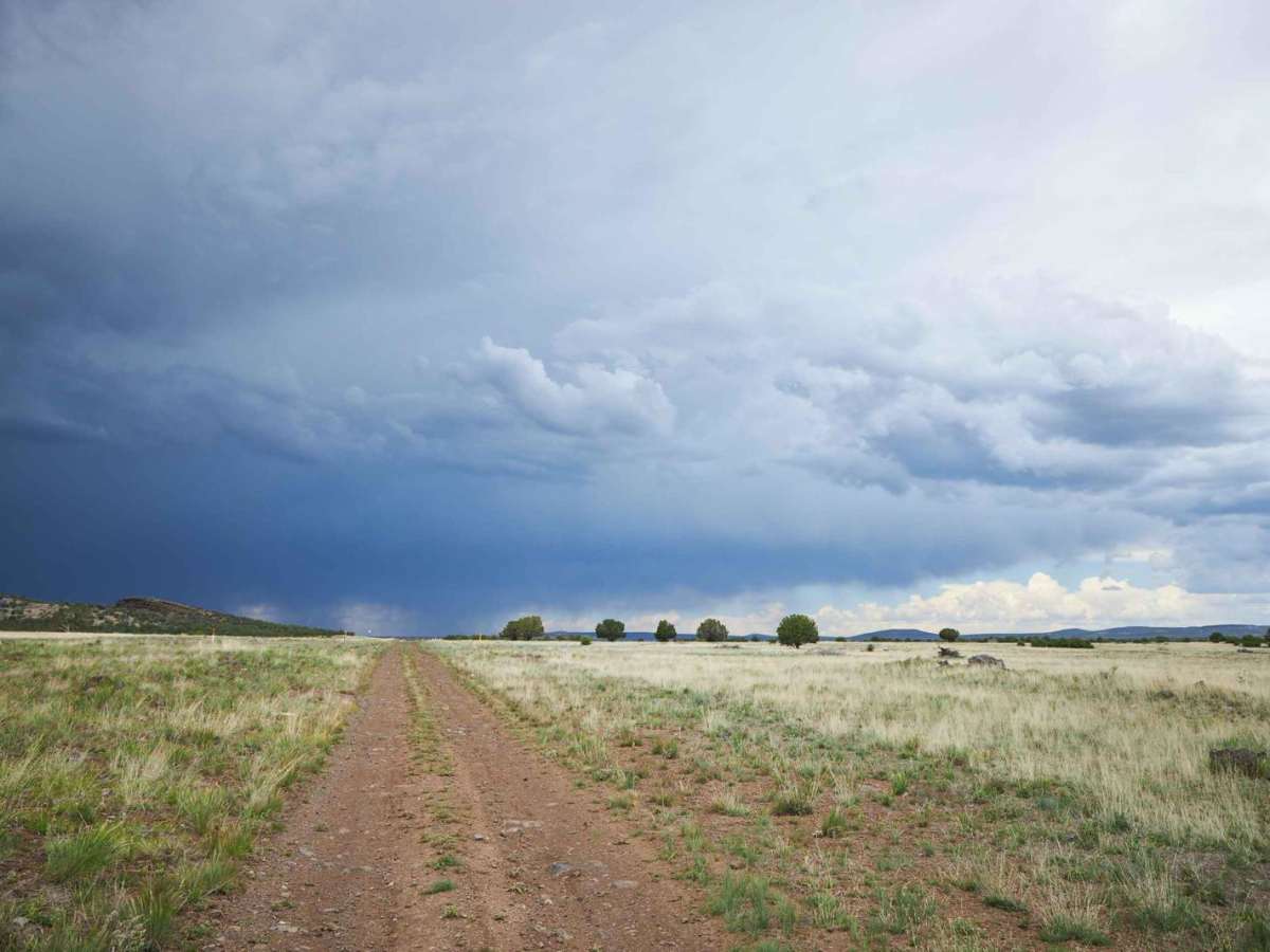 Pipeline Road 796 photo 6
