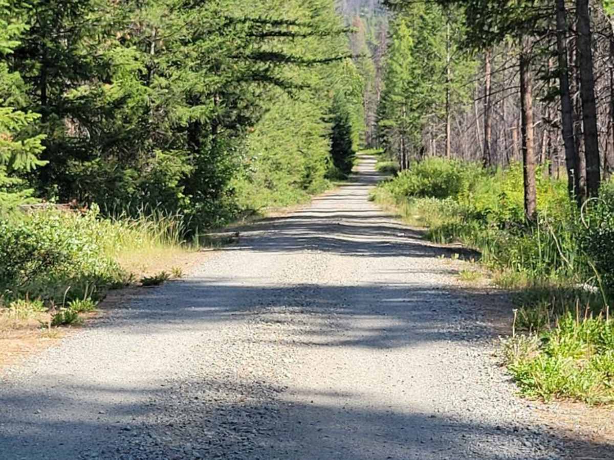 FR 4420 - West Buttermilk Creek Road photo 3