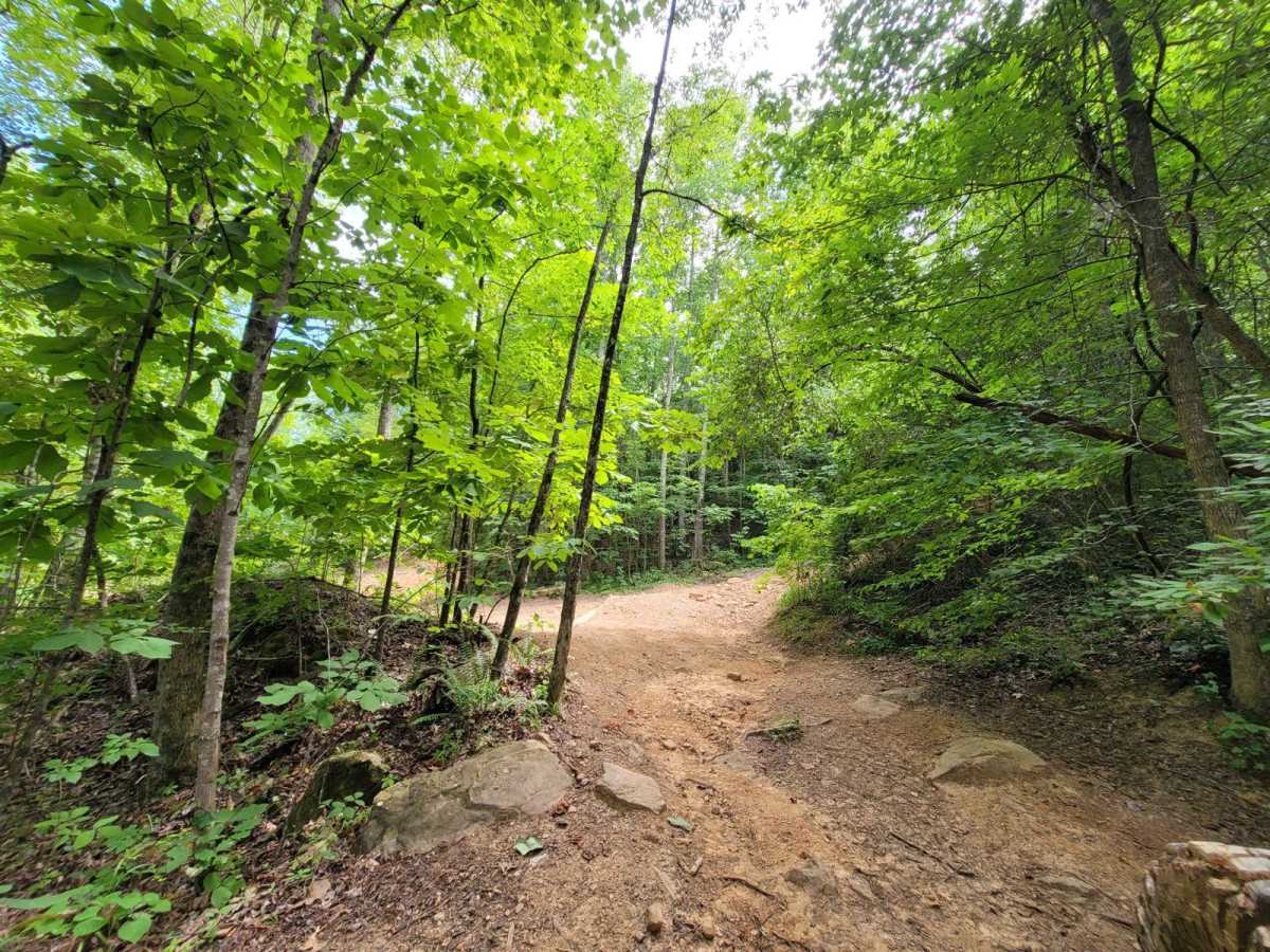 7 - Ascension trail photo