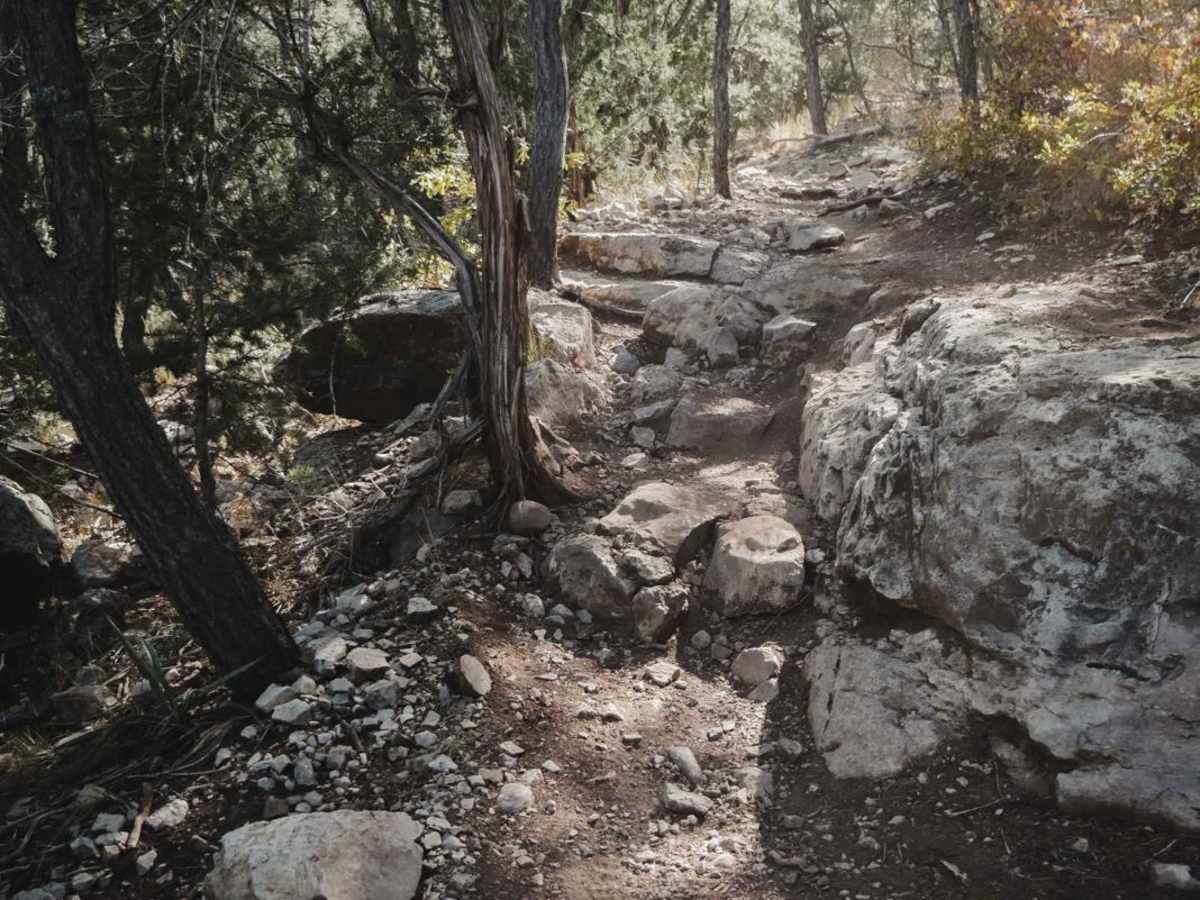 Delberts trail photo