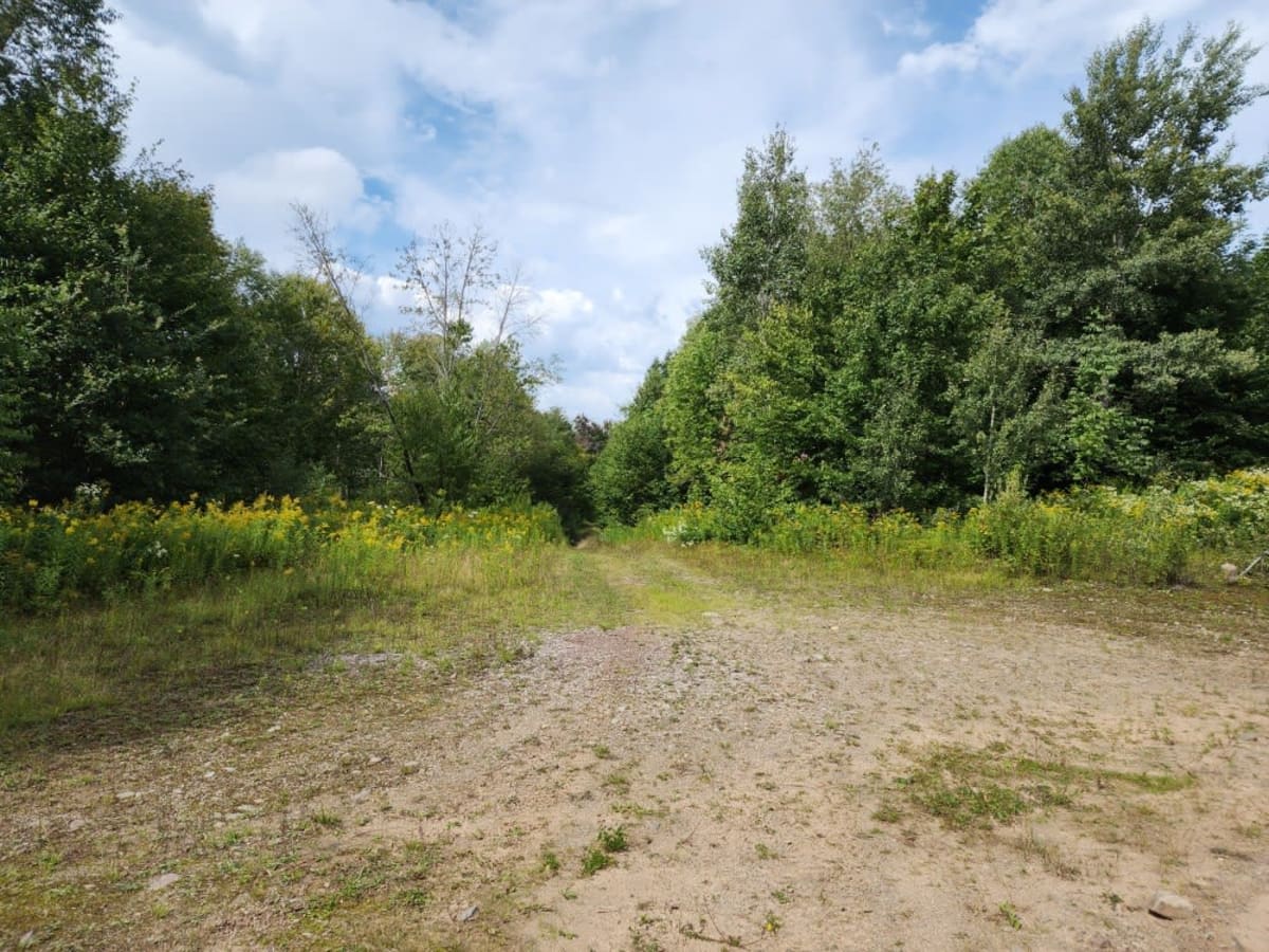 Michigan Mills Road photo 6
