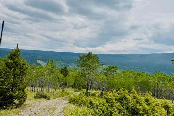 Tsuniah Lake Recreation Site FSR