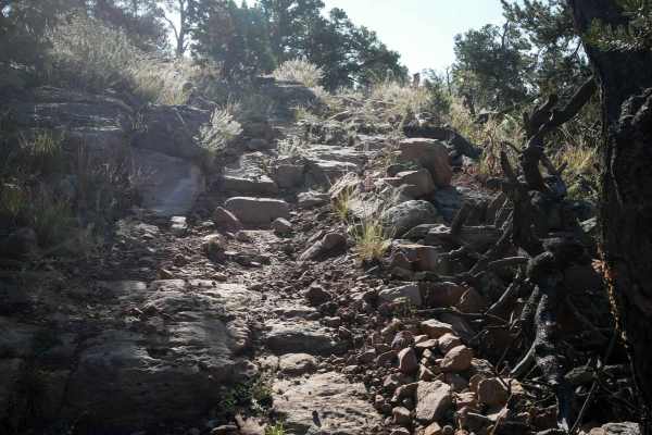 Fred Garza Memorial Trail