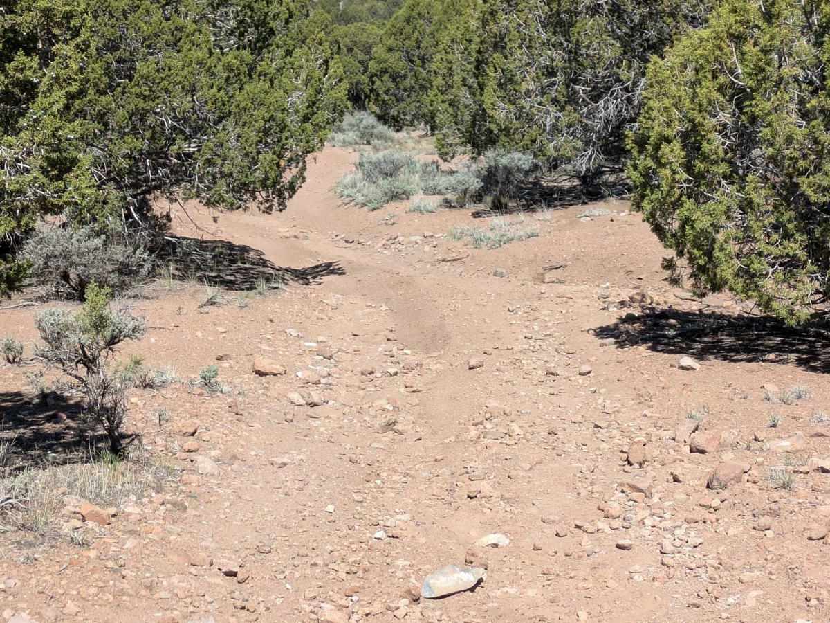 BLM 30228 photo 4