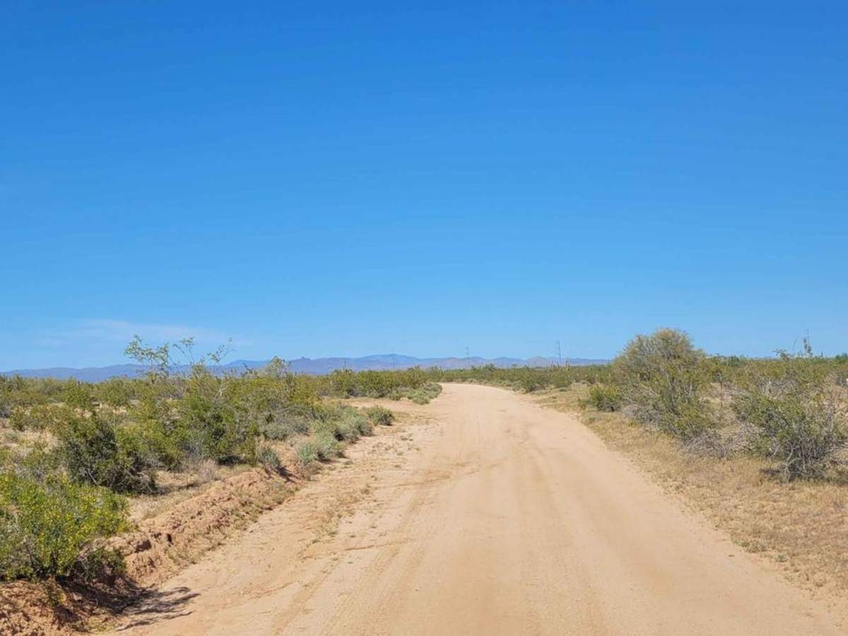 Douglas Ranch Road photo 4