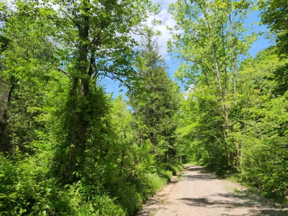 Abner Run Road photo 4