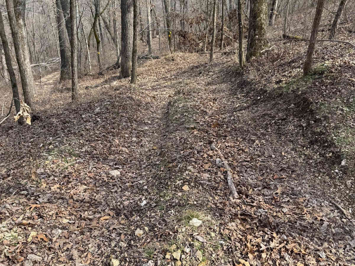 Yellow 426 trail photo