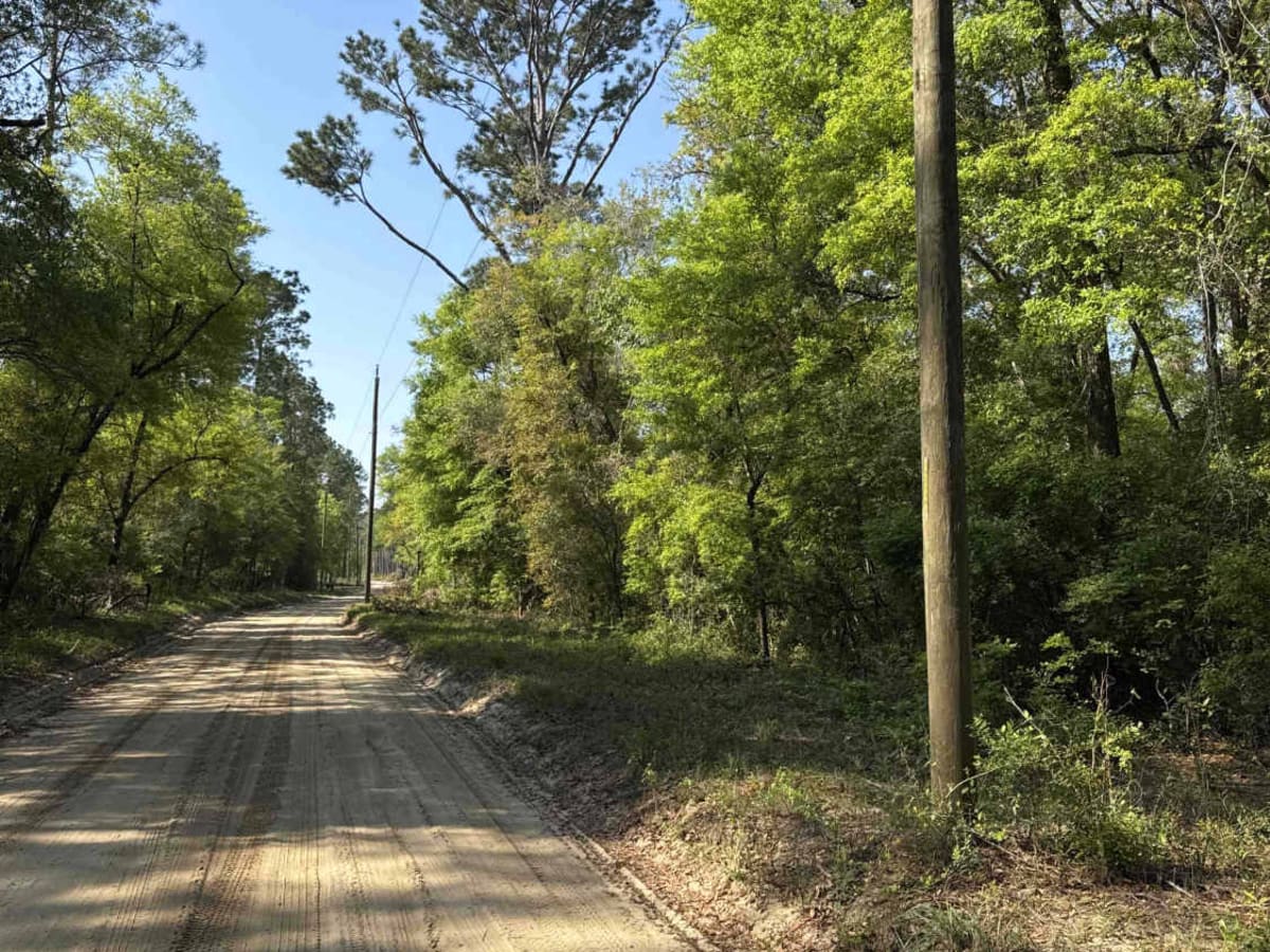 Bostic Pelt-Lawhorn Mill - Apalachicola FR 356 trail photo