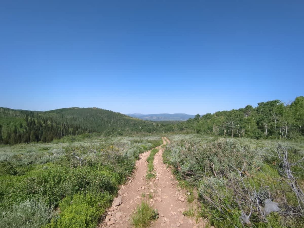 Mitchell Hollow ATV photo 5