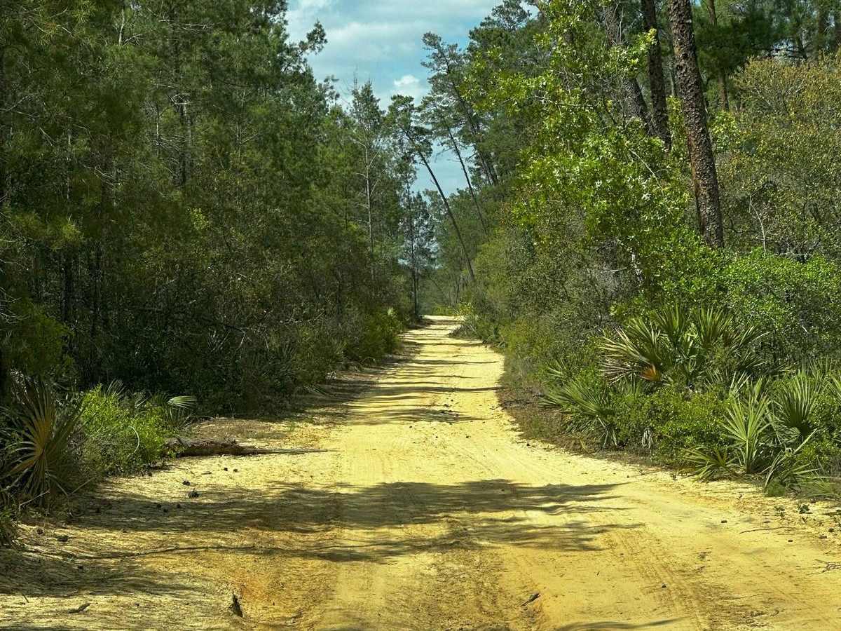ONF Trail 5-18.4 photo 2