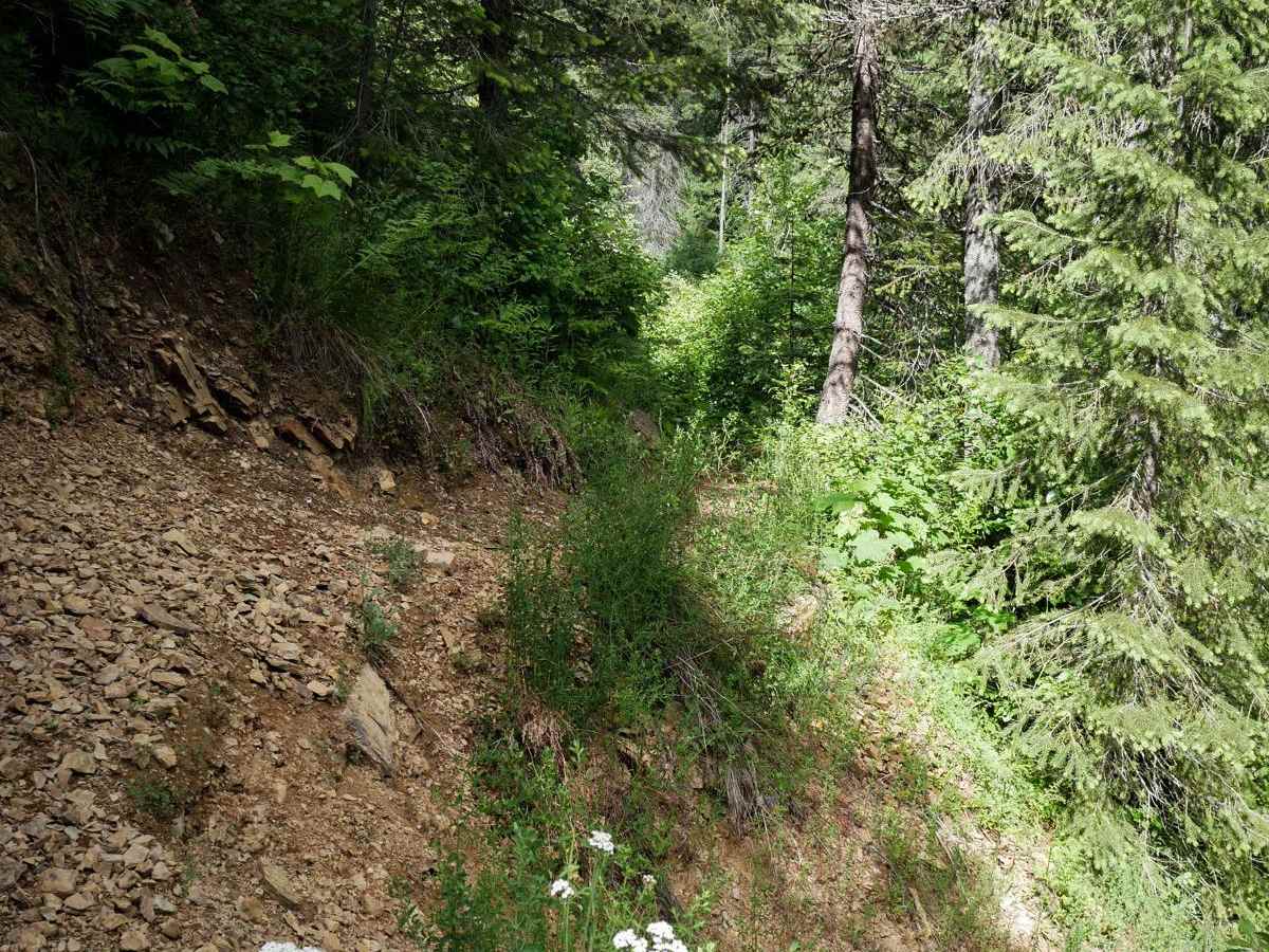 East Fork Big Creek photo 5