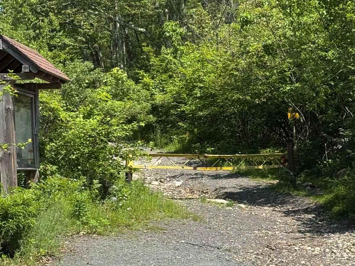 Fire Tower Road photo 3
