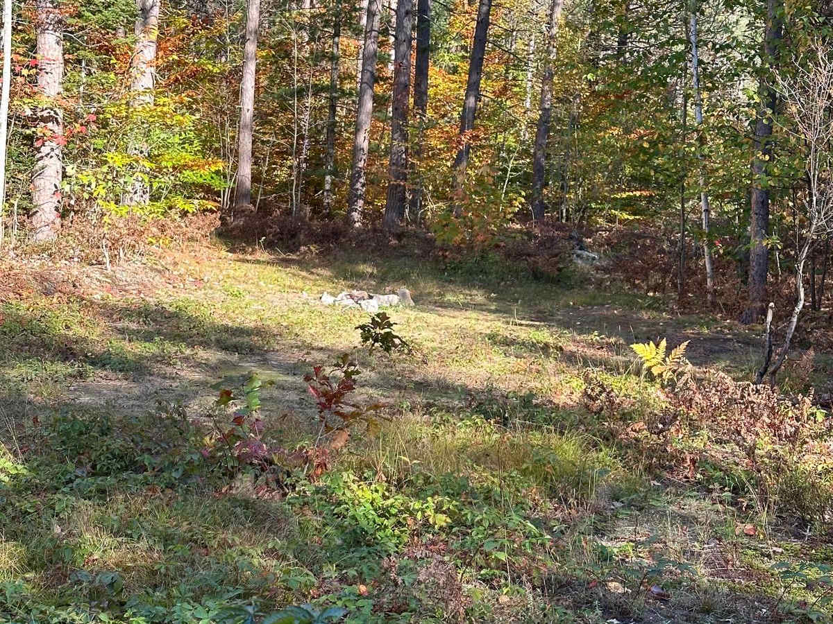 FS 2532 photo 2