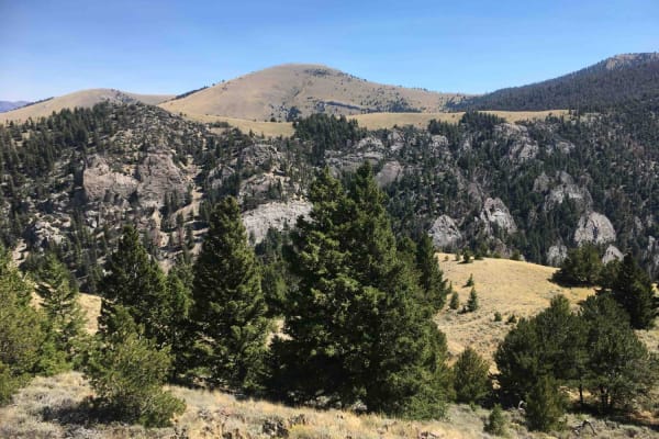Middle Fork Pass Creek Trail