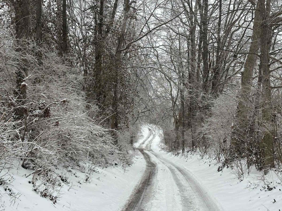 Bogie Mill - Eddington trail photo