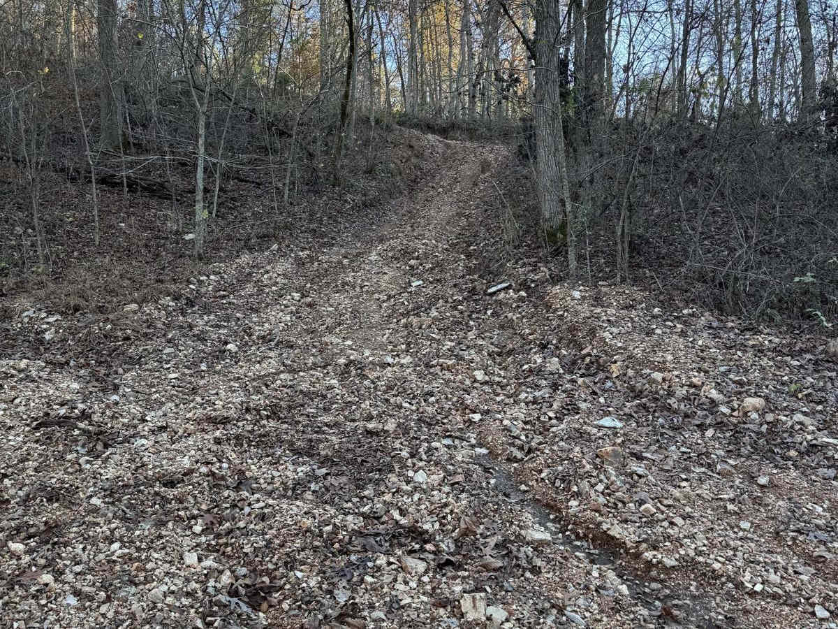 Yellow 150 trail photo