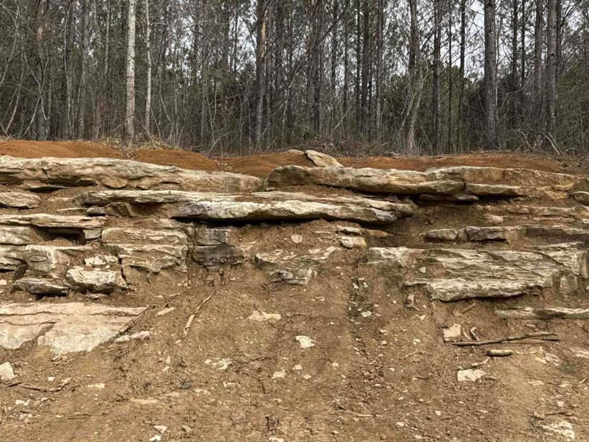 #128 Double Ledges photo 3