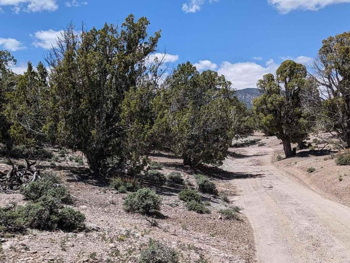 Springs Kiln Loop photo 3