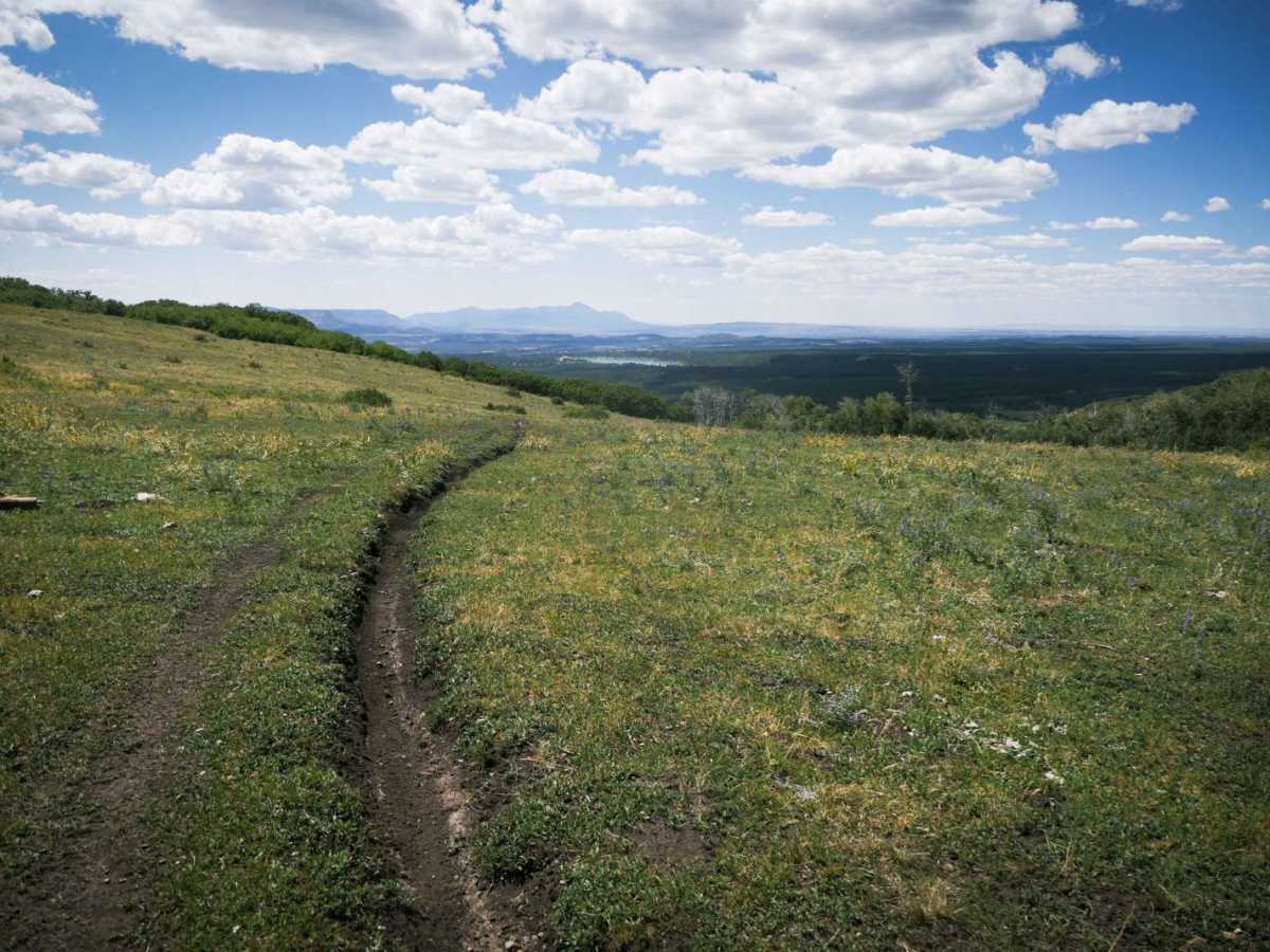 Ramparts Loop trail photo
