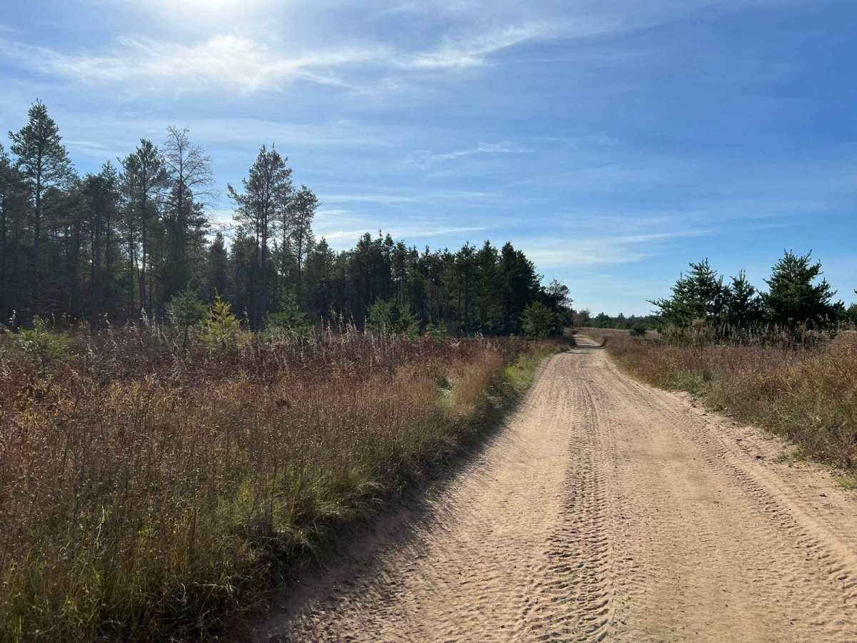 Pembine 16 East Trail Head FR 1006 photo 6