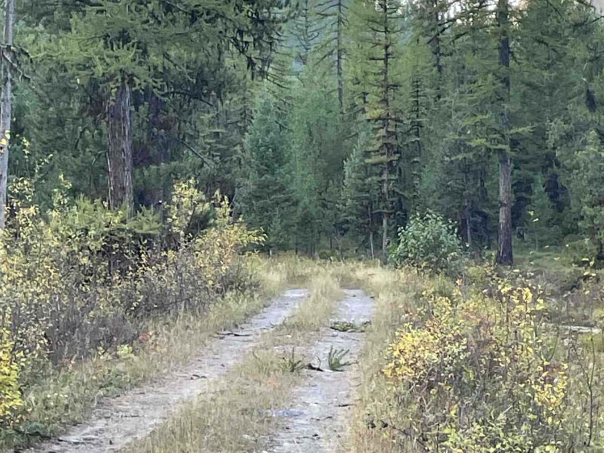 Jocko Canyon Road photo 6