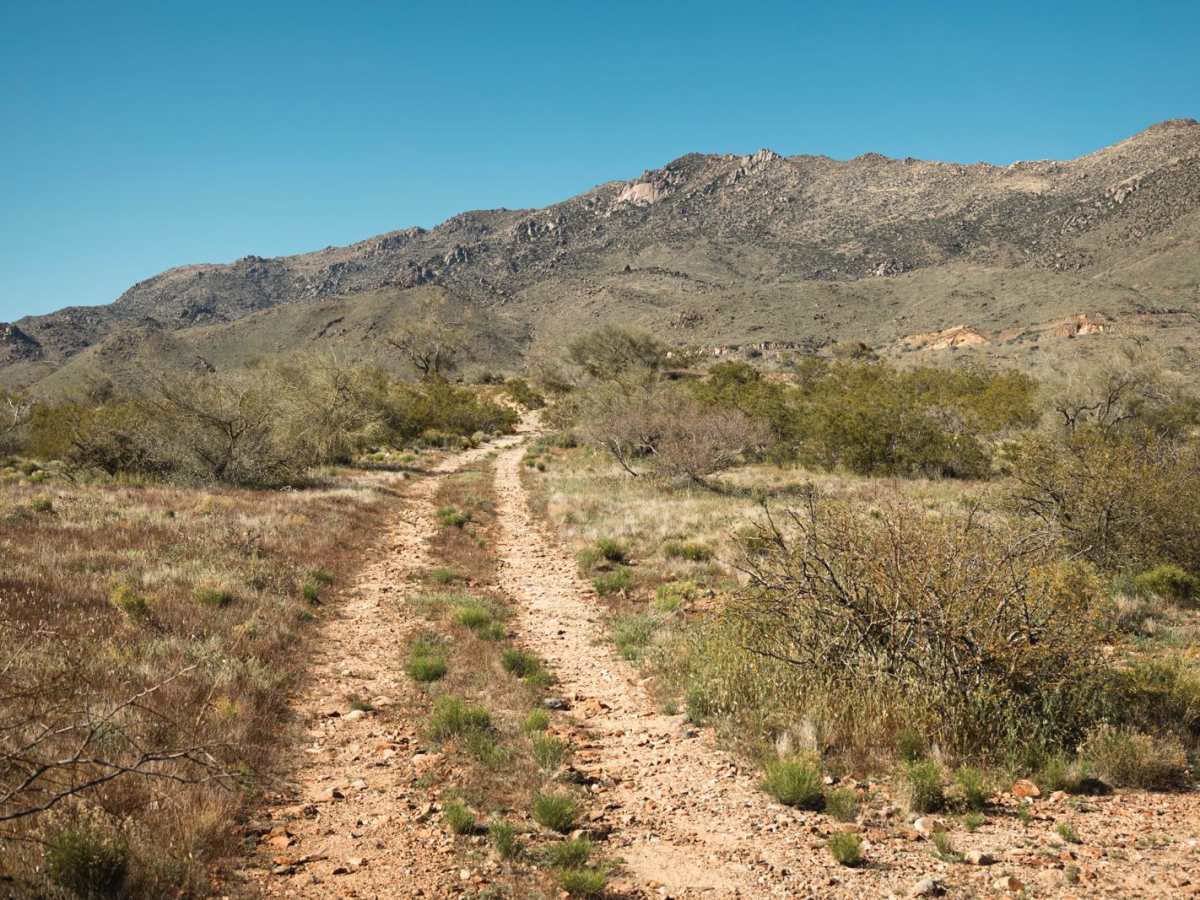 Spurline Mine trail photo
