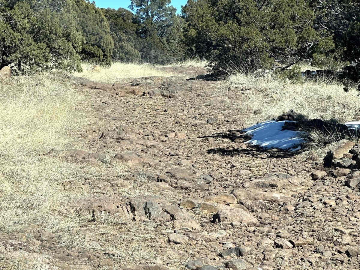 Mongollon Mesa Trail (9D) photo 3